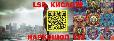 ГАЛЛЮЦИНОГЕННЫЕ ГРИБЫ Заволжье