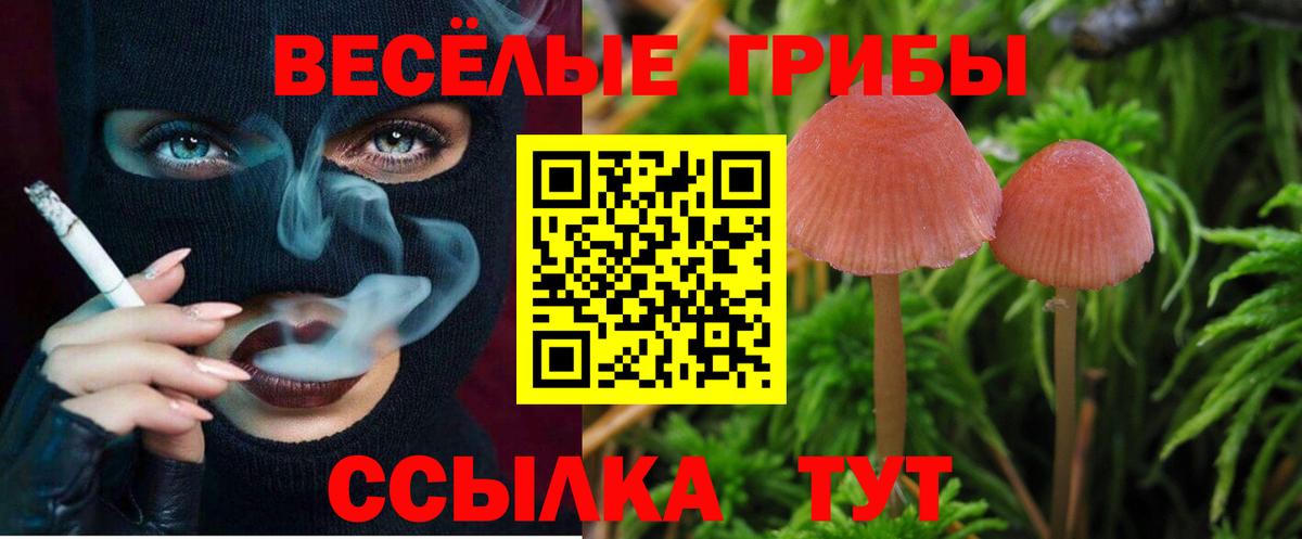 Красный Сулин  Галлюциногенные грибы мухоморы  Вход с VPN  Галлюциногенные грибы GOLDEN TEACHER 