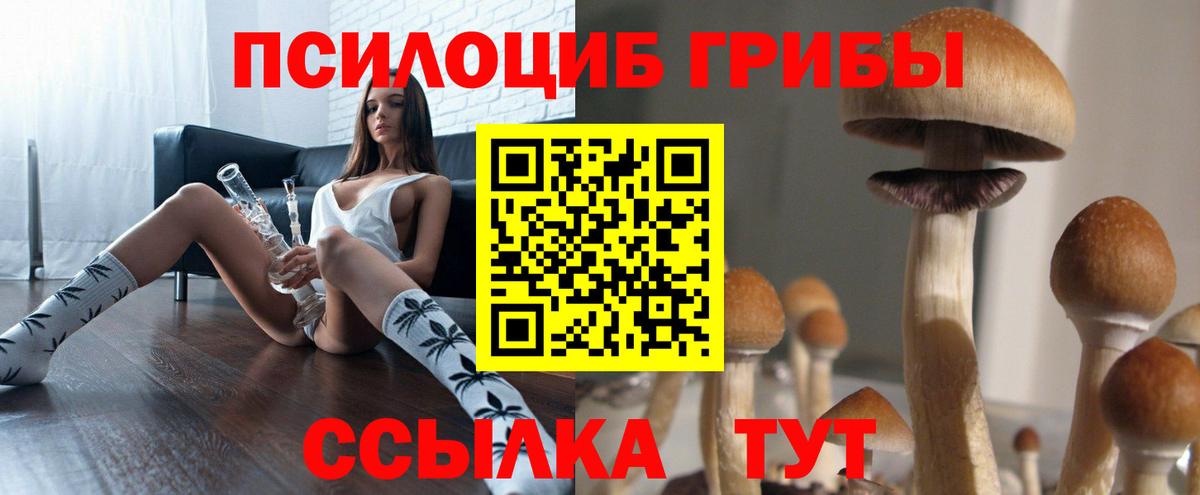 Псилоцибиновые грибы GOLDEN TEACHER Красный Сулин